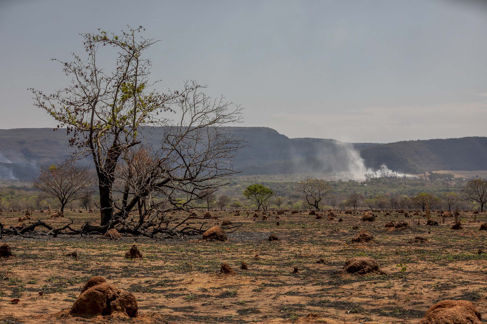 Imagem Expedição Chap Guim - ESEC Serra das Araras--2 da expedição de expedicoes/araras_25
